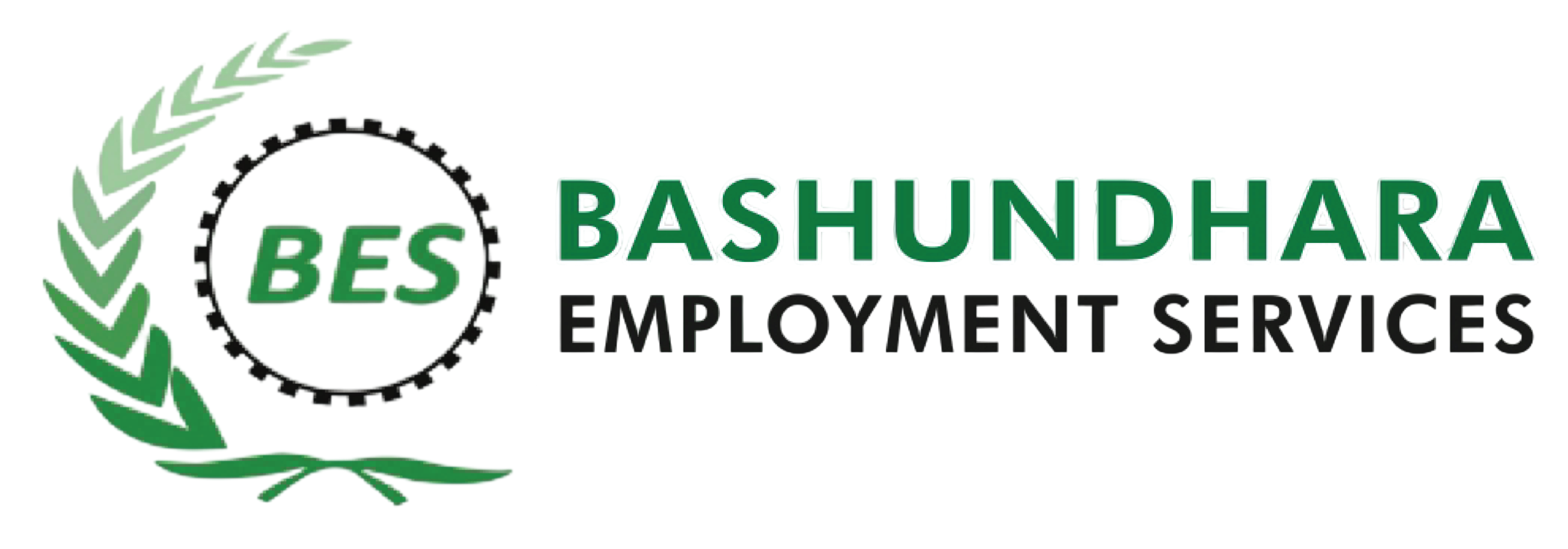 BES Logo